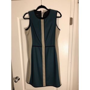 Judith and Charles size 10 (M) dress
